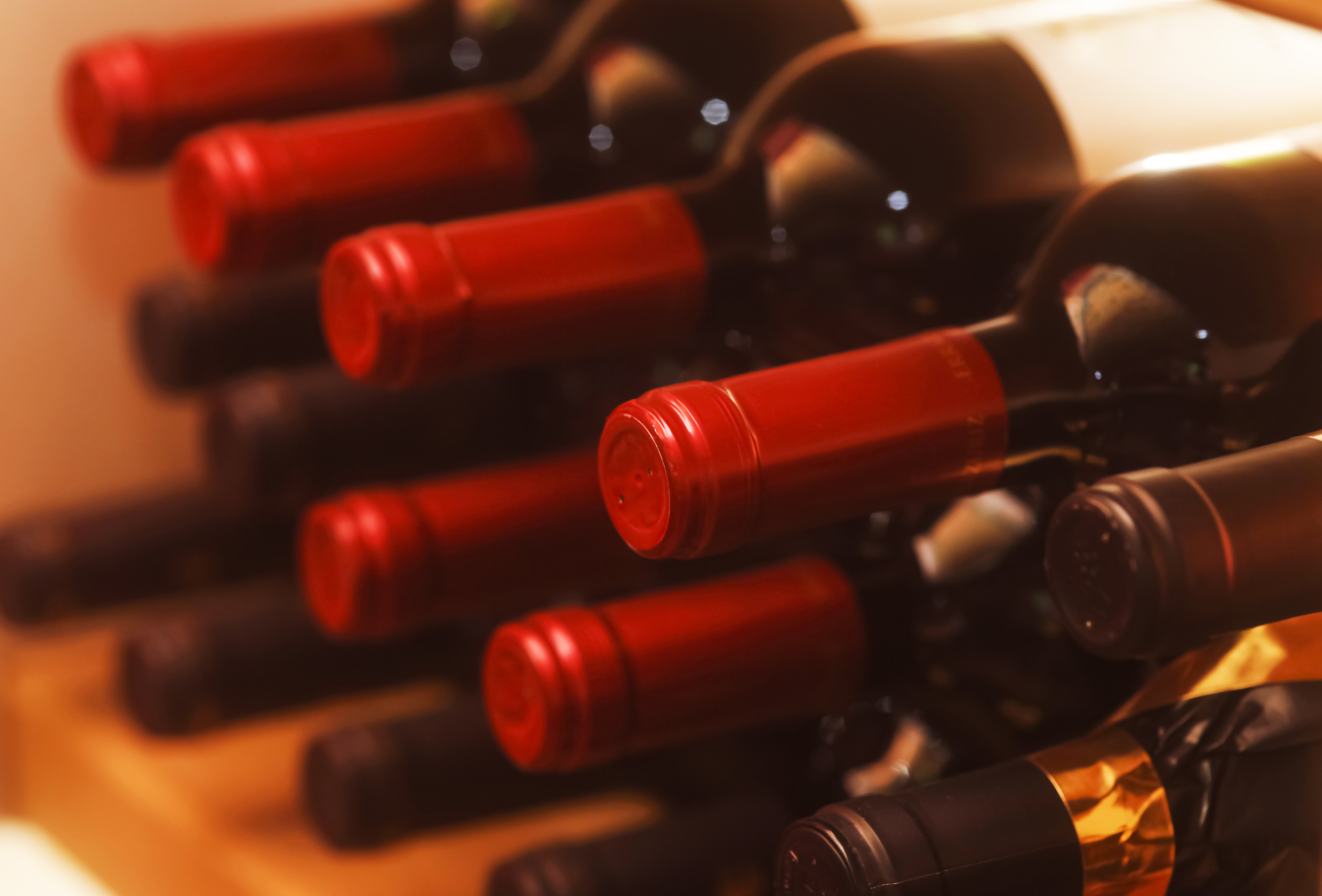 Shelf with red wine bottles